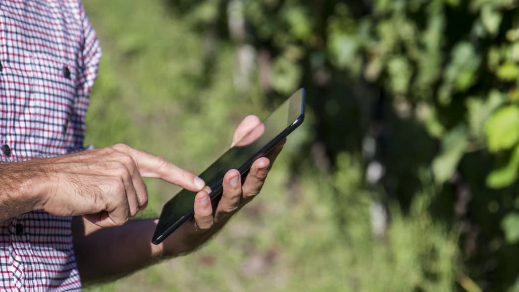 MSU Extension Releases New Crop Budgeting Tool