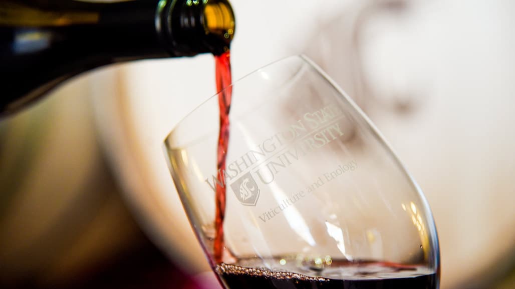 WSU Tri‑Cities Launches Online Program to Train Winery, Tasting Room Servers