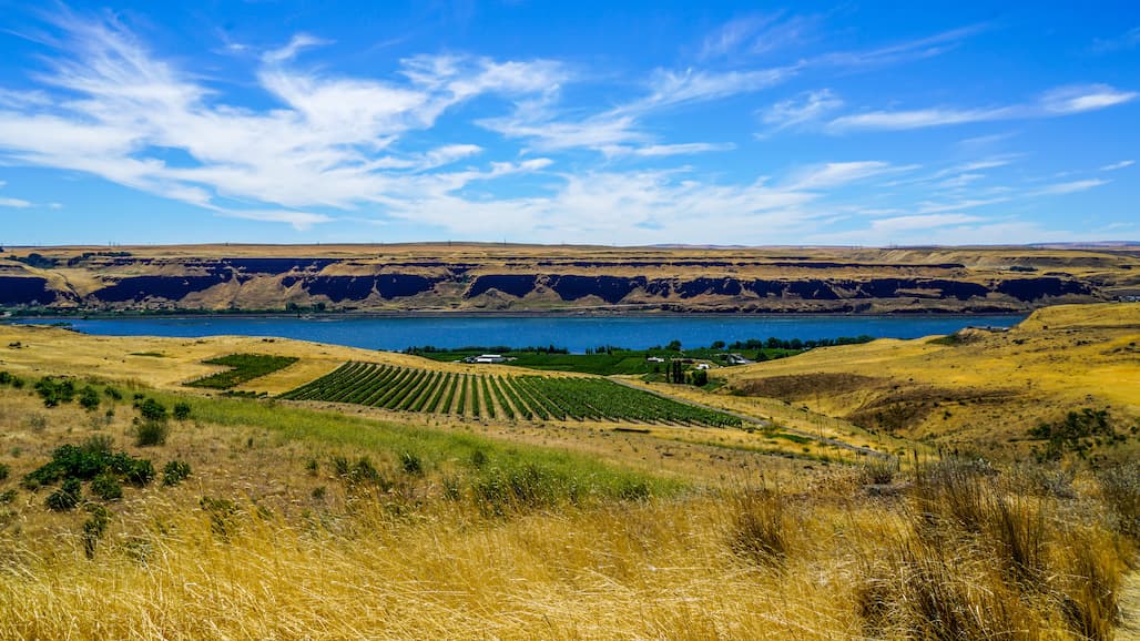 Washington Wine Industry Foundation Appoints Three Board Members