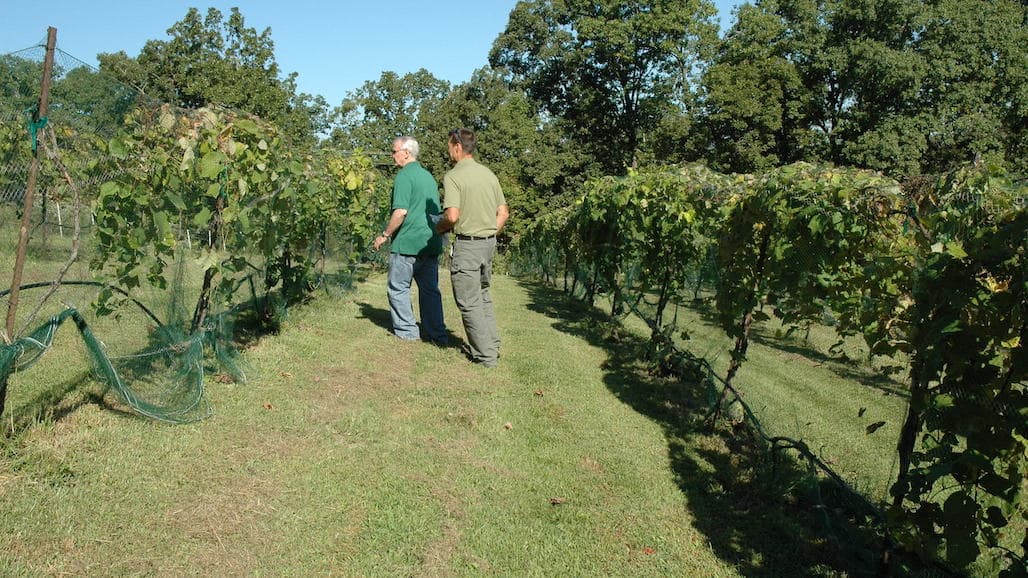 Pestalotiopsis and Neopestalotiopsis: Missouri Research Update