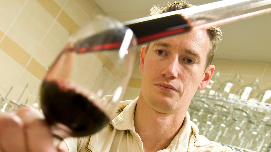 Pediococcus Wine Spoilage: Concern or Confusion?