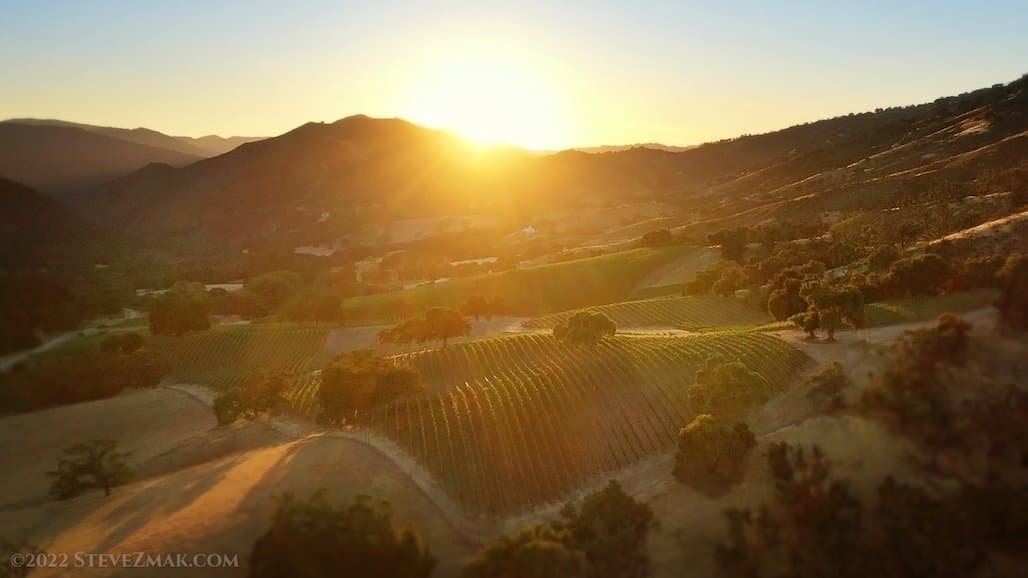 Monterey County’s Winegrape Sector Delivers Total Economic Impact of $1.4 billion Annually
