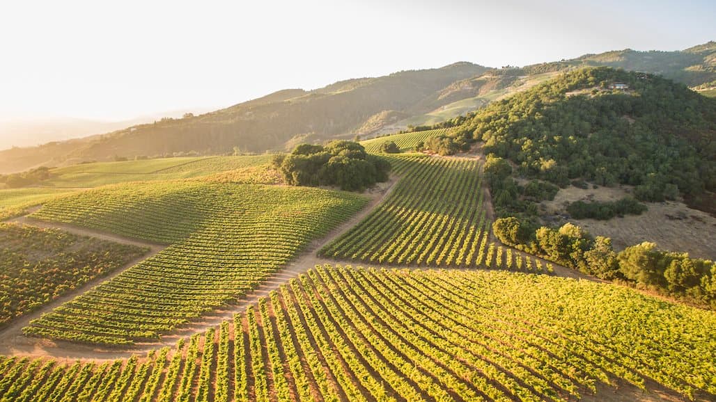 Moon Mountain District Winegrowers Association Announces Inaugural Master Class and Grand Tasting