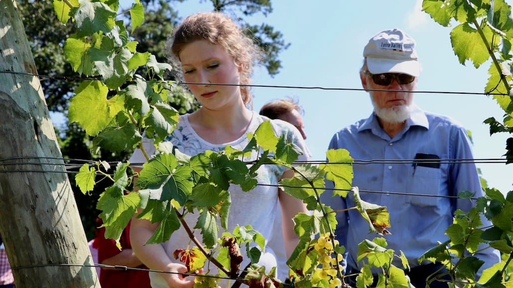 Georgia Wine & Grape Commission Seeks Nominations