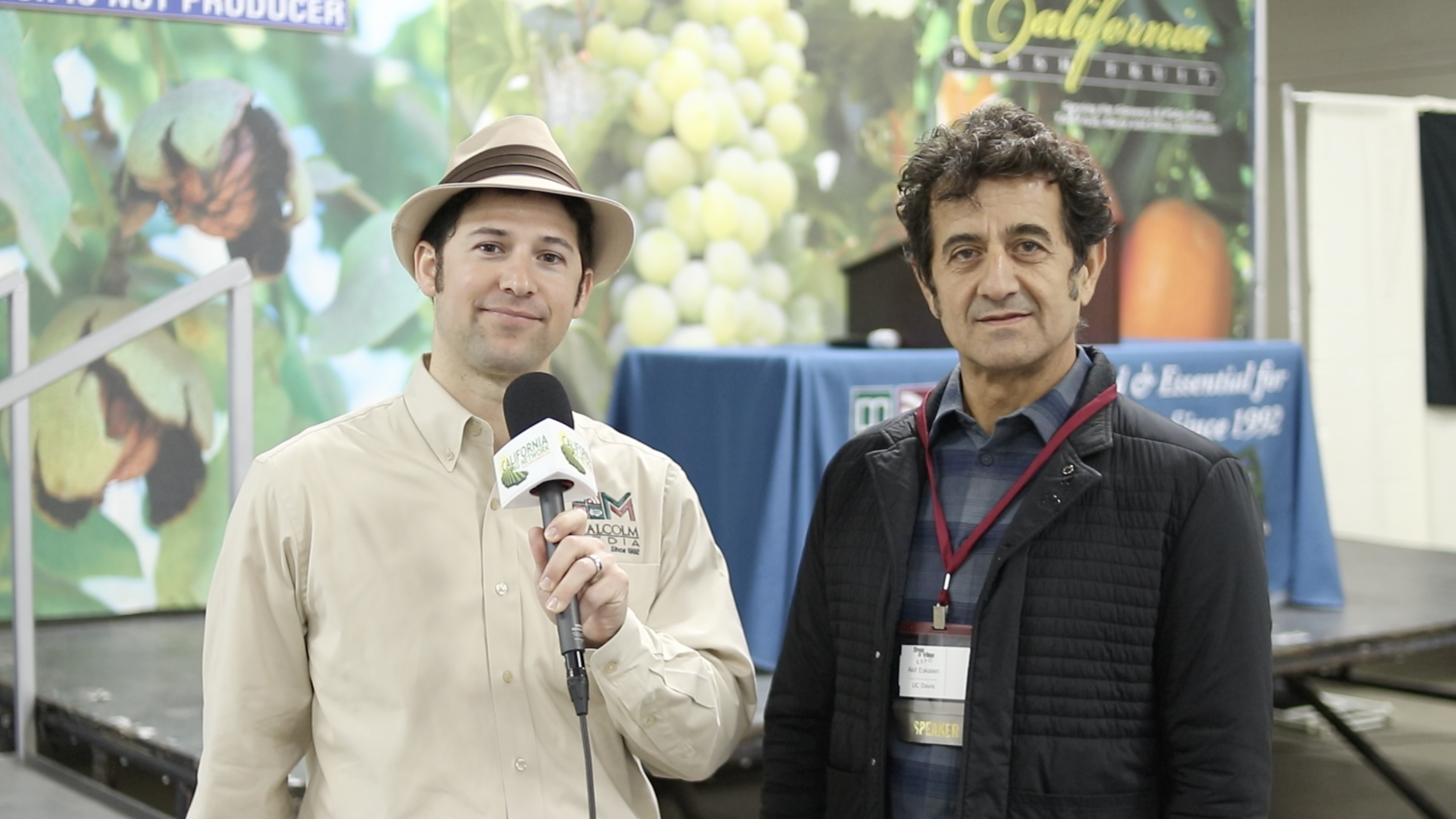 Newly Identified Aspergillus Vine Canker Afflicting California Vineyards