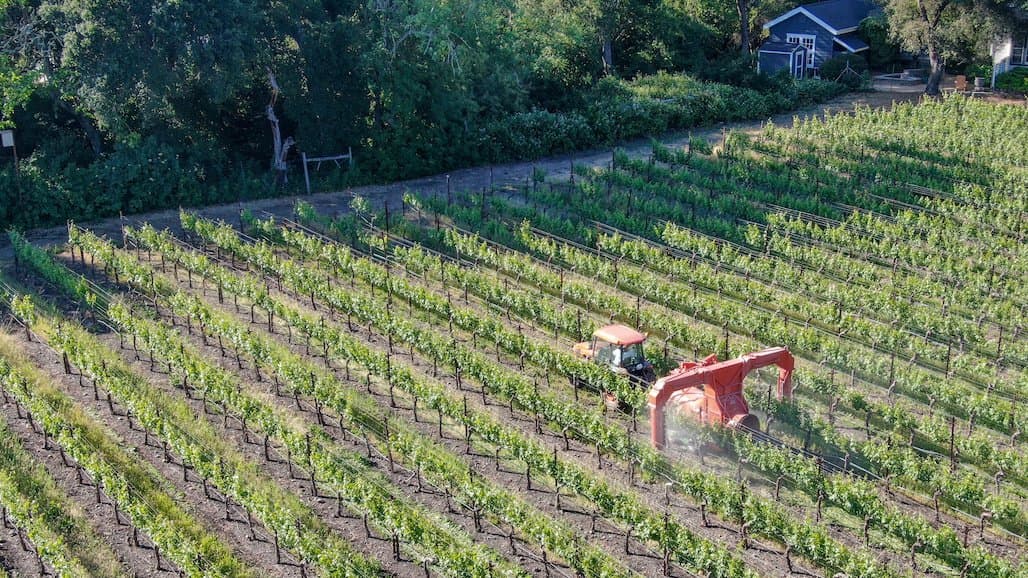 Fungicide Resistance Testing in Georgia
