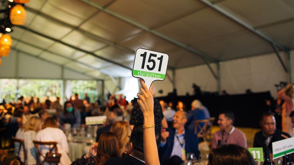 Sonoma County Wine Auction Live Auction lots Preview