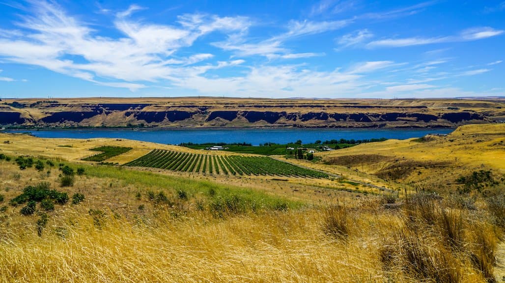 Washington Wine Industry Impact