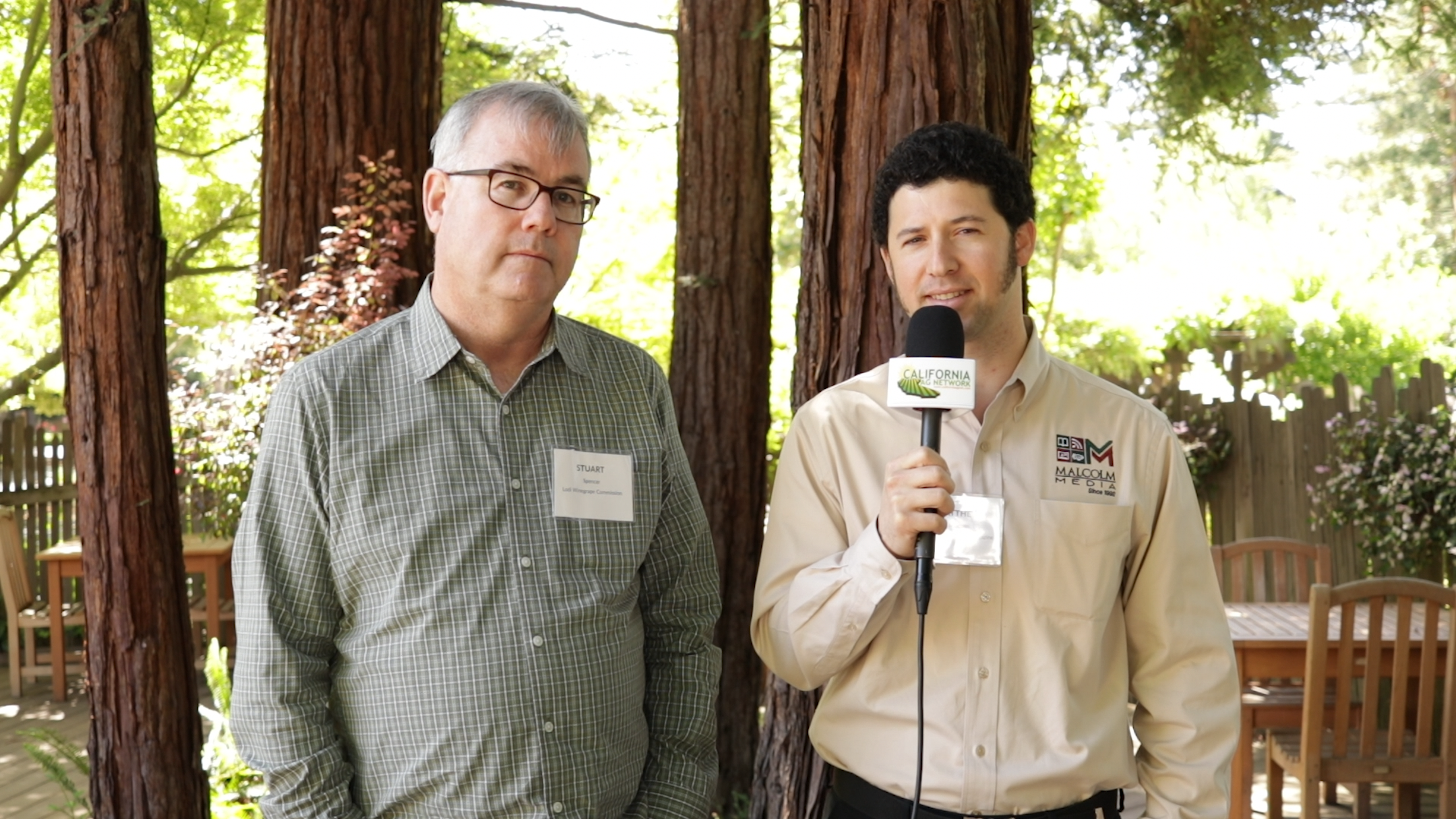 Bulk Wine Imports Putting California Growers out of Business