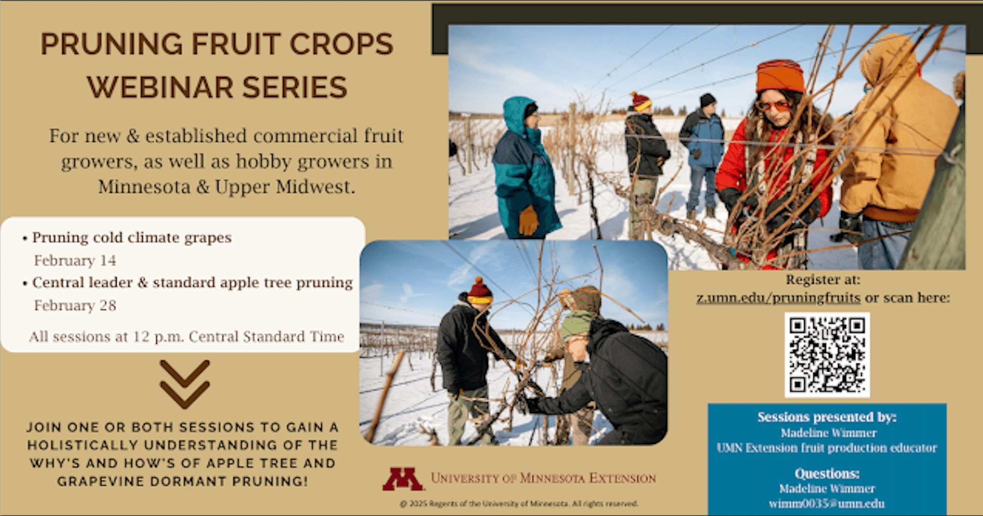 University of Minnesota Extension Winter (Cold Climate Grapes) Pruning Webinar
