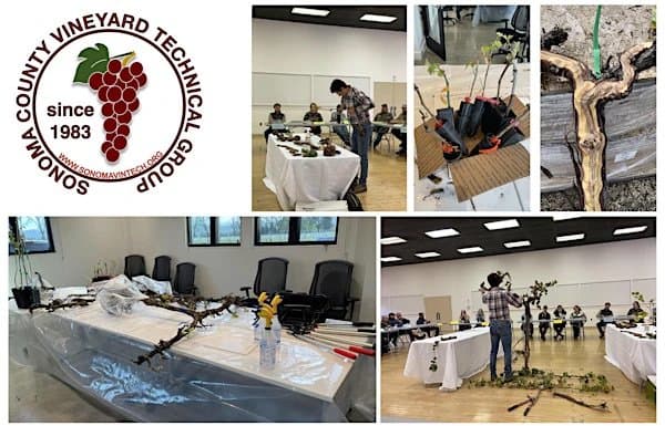 See It, Know It, Manage It: A Workshop on Grapevine Trunk Disease