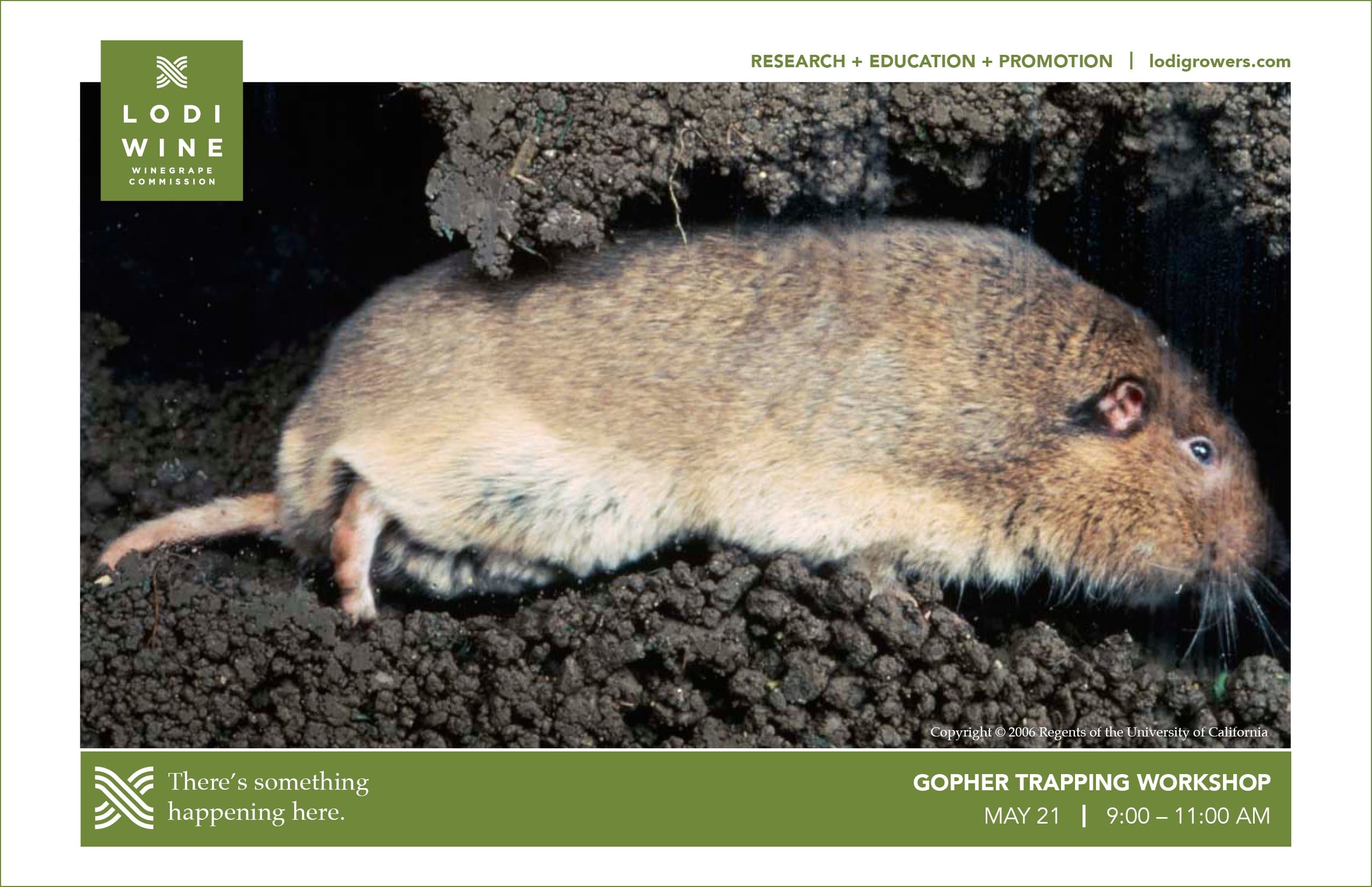 Lodi Gopher Trapping Workshop