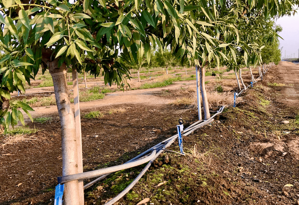 Irrigation & Nutrient Management Workshop