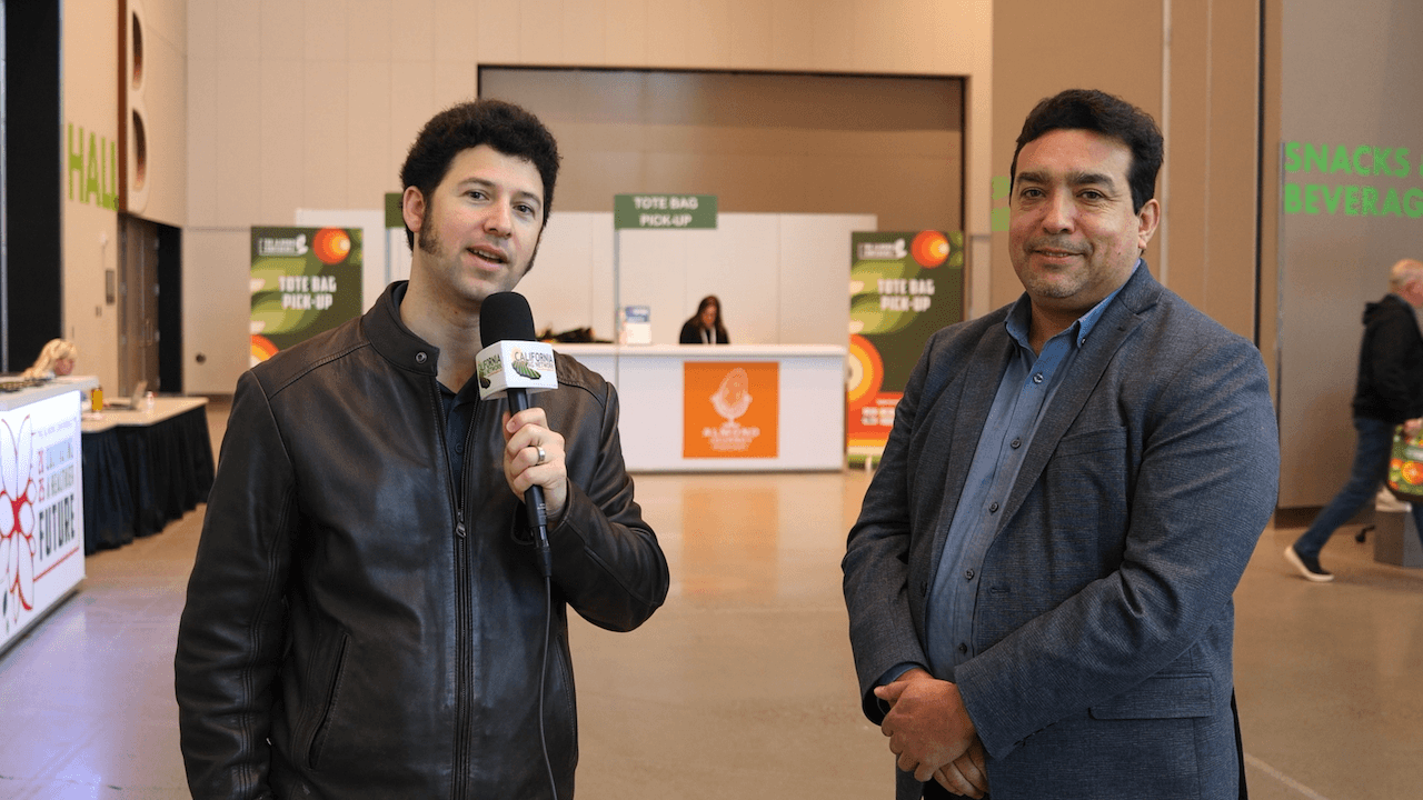 More Consistent Year-Round Availability of Table Grapes Builds Global Demand