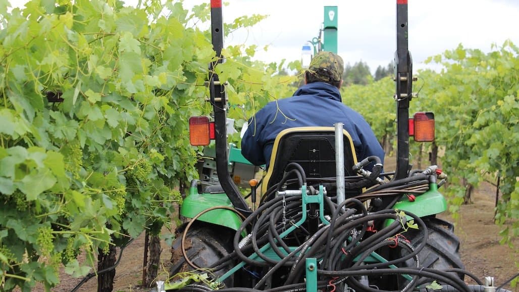 New Legislation Aims to Boost Farmworker Pay and Support Ag Employers