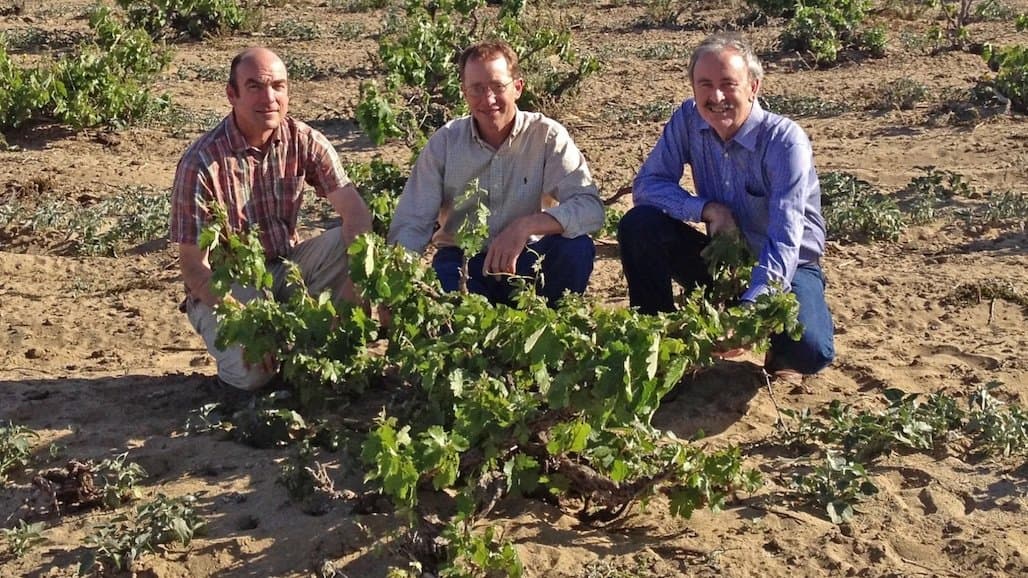 Bettiga Retires After 41 Years As UC Cooperative Extension Advisor