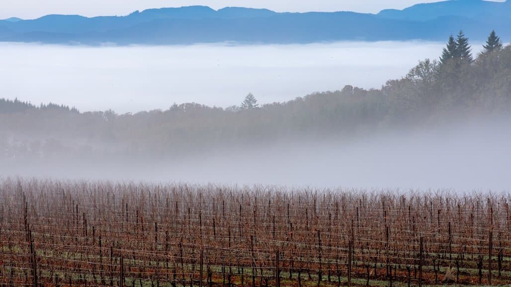 USDA Offers Disaster Assistance for Oregon Producers